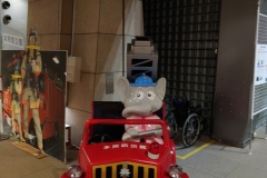 Gallary-4